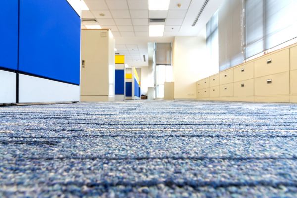 Business Carpet Cleaning in Orem