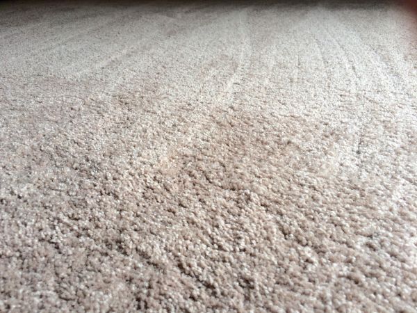 Plush Carpet Installation in Orem
