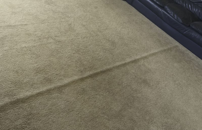 Carpet Repair Service detail