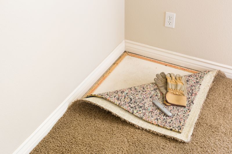 Residential Carpet Replacement